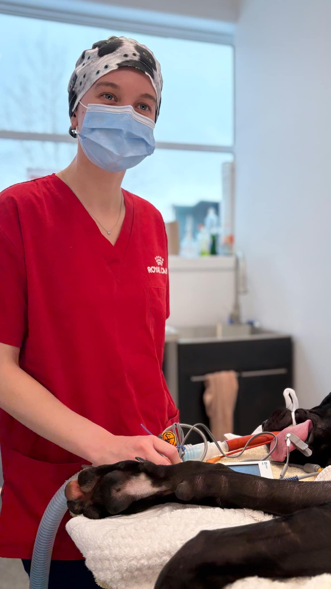 Faites une différence et faites partie de la solution – Image 5