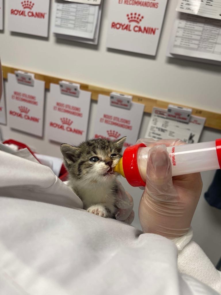 Faites une différence et faites partie de la solution – Image 3