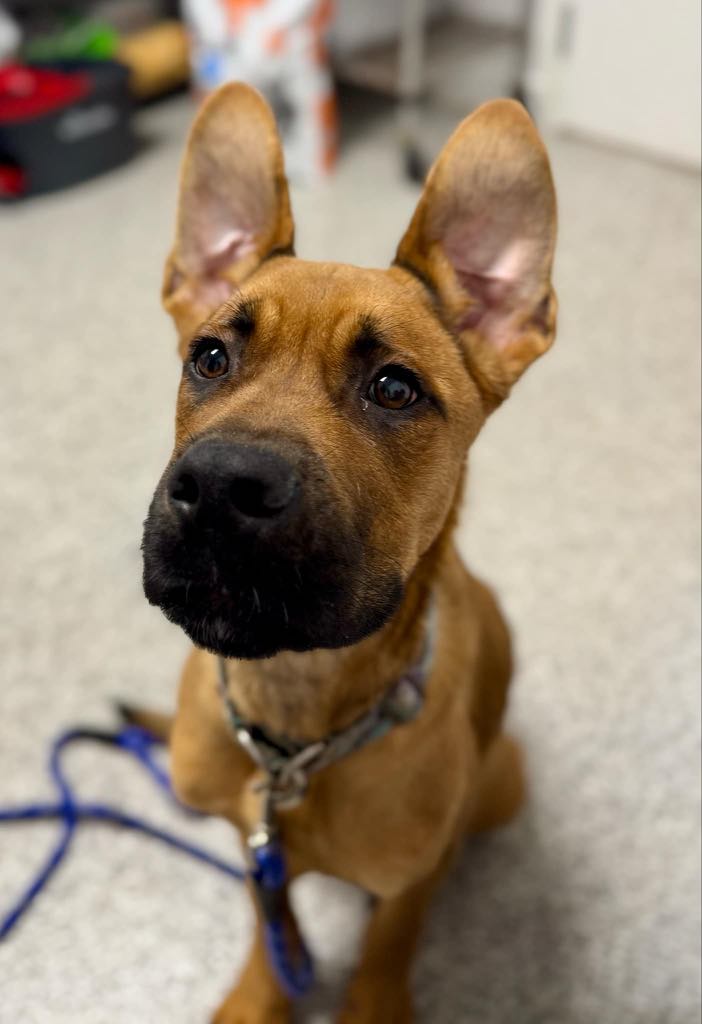 Faites une différence et faites partie de la solution – Image 4