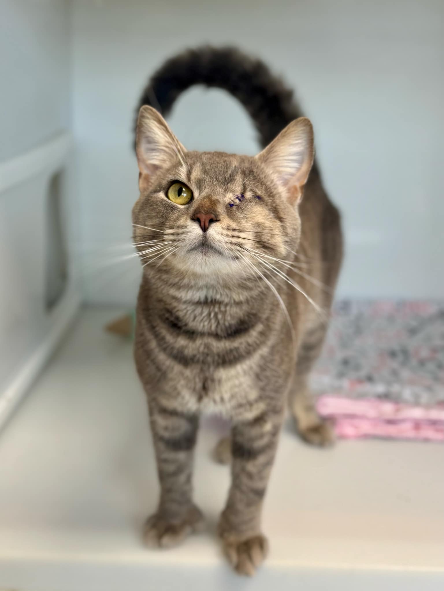 Faites une différence et faites partie de la solution – Image 6