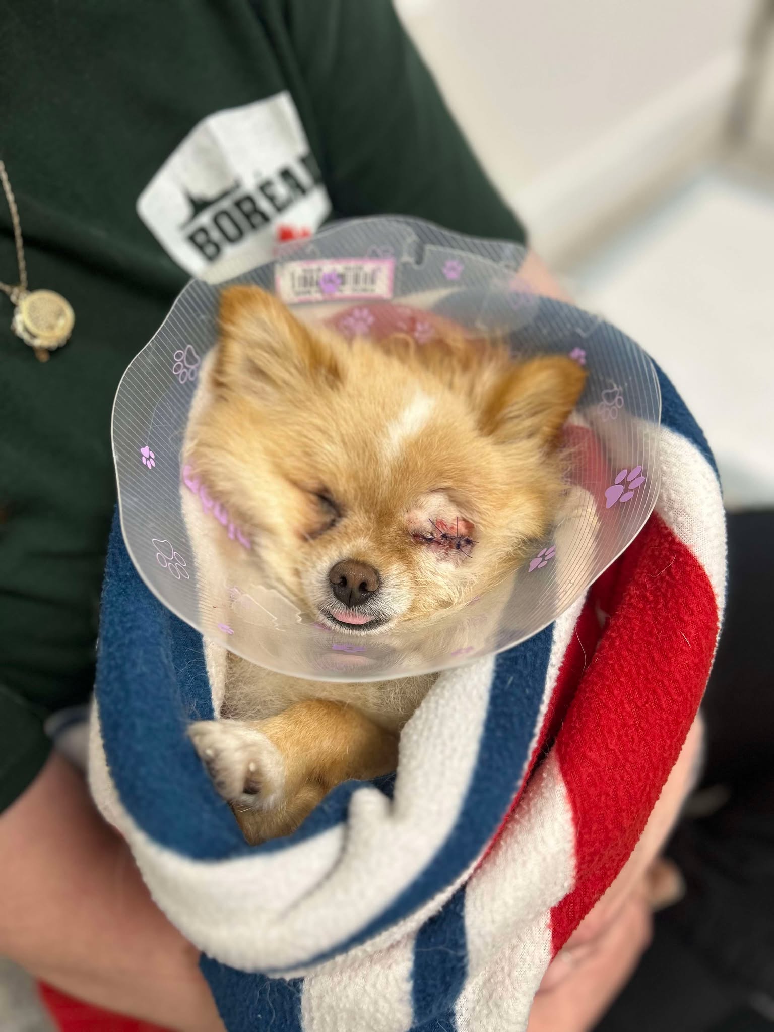 Faites une différence et faites partie de la solution – Image 8