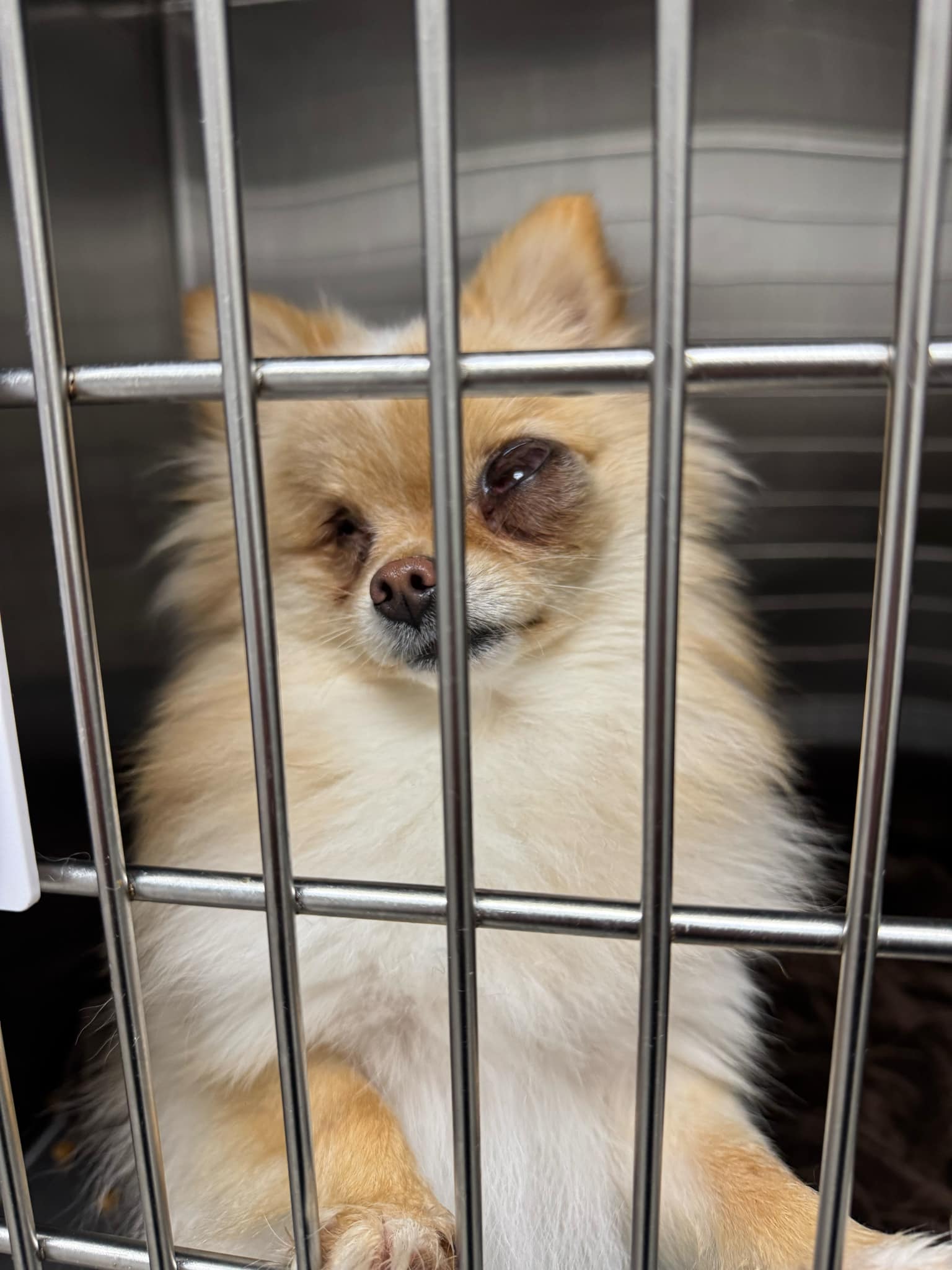 Faites une différence et faites partie de la solution – Image 7