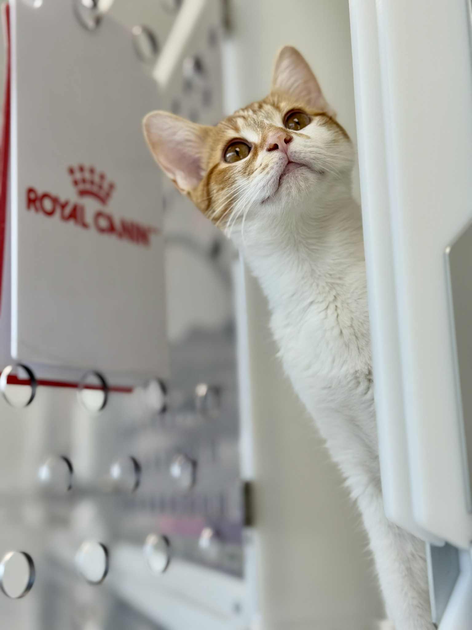 Faites une différence et faites partie de la solution – Image 2