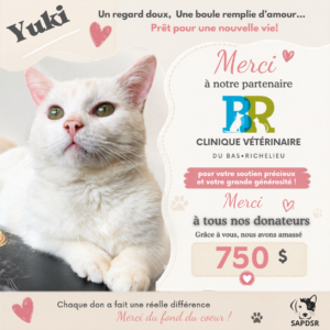 Aidez-nous à offrir à Yuki, les soins et l'amour qu'il mérite!