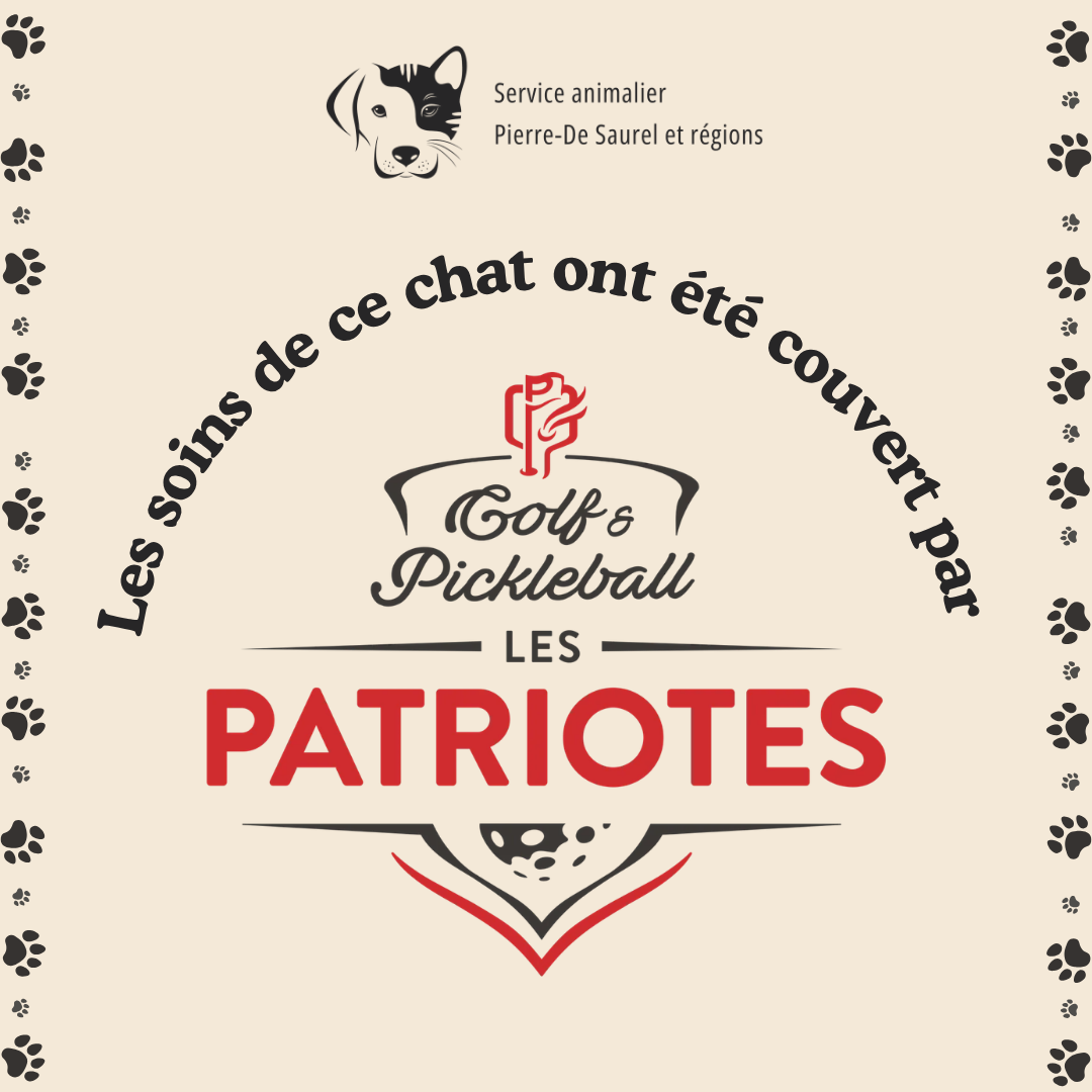 Les soins de ce chat