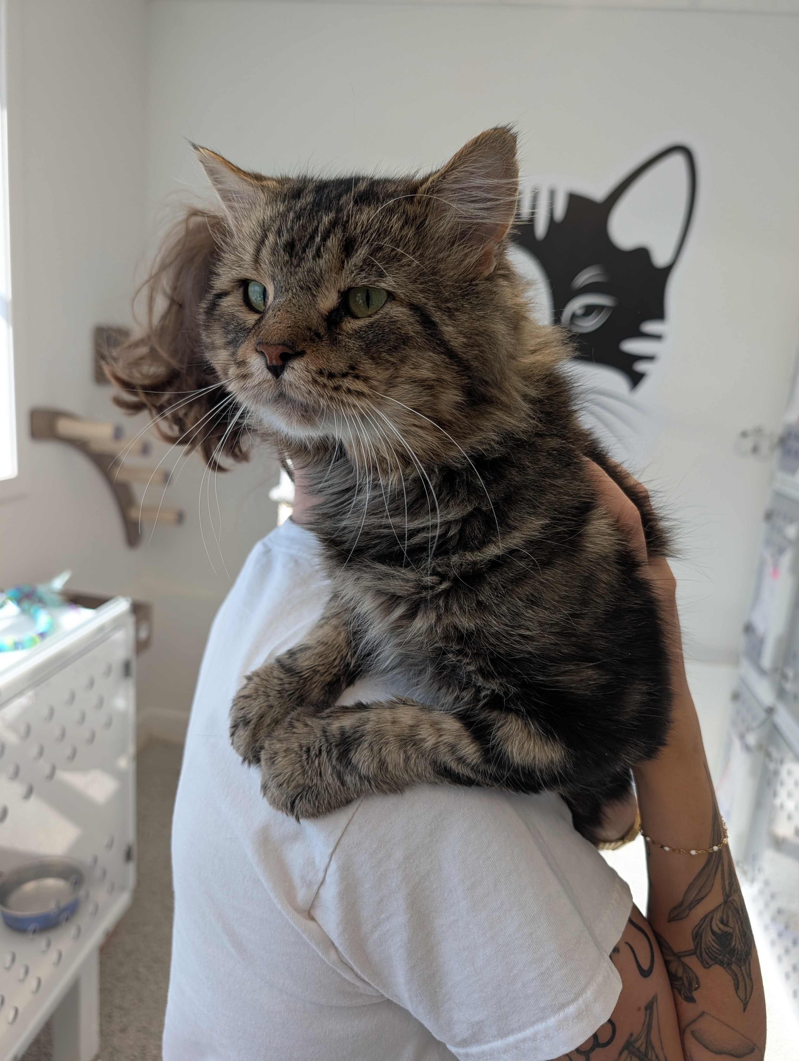Mufasa